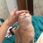 adlai (adlai) free OnlyFans content 

 profile picture