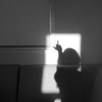 alien99 (bye) OnlyFans Leaked Pictures & Videos 

 profile picture