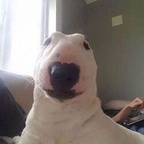 amaaterasuu OnlyFans Leaks 

 profile picture