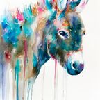 BB apricotdonkey Leak OnlyFans 

 profile picture
