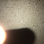 asianspade (Asianspade) free OnlyFans Leaked Videos and Pictures 

 profile picture