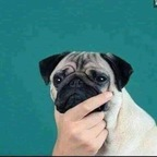azazelandlilith OnlyFans Leaks 

 profile picture