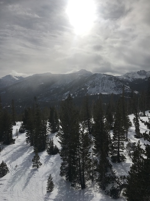 Header of babyblazer