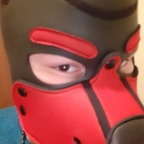 Download bacchy_puppy OnlyFans videos and photos for free 

 profile picture