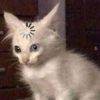 Onlyfans leak batux 

 profile picture