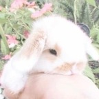 Onlyfans leaks bbypowdr2 

 profile picture