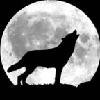 Onlyfans leaked bigbadwolf0 

 profile picture