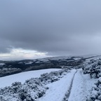 blossomivy (Blossom) OnlyFans Leaks 

 profile picture