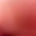 Onlyfans leaks bob22232w 

 profile picture