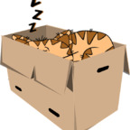 boxgirl (Boxgirl) free OnlyFans Leaks 

 profile picture