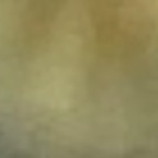 brandiblossom OnlyFans Leaked 

 profile picture