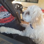 Onlyfans leaked bridgey 

 profile picture