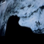 callmexiu OnlyFans Leaked Photos and Videos 

 profile picture