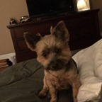 chellb (Chellb) free OnlyFans Leaked Pictures & Videos 

 profile picture