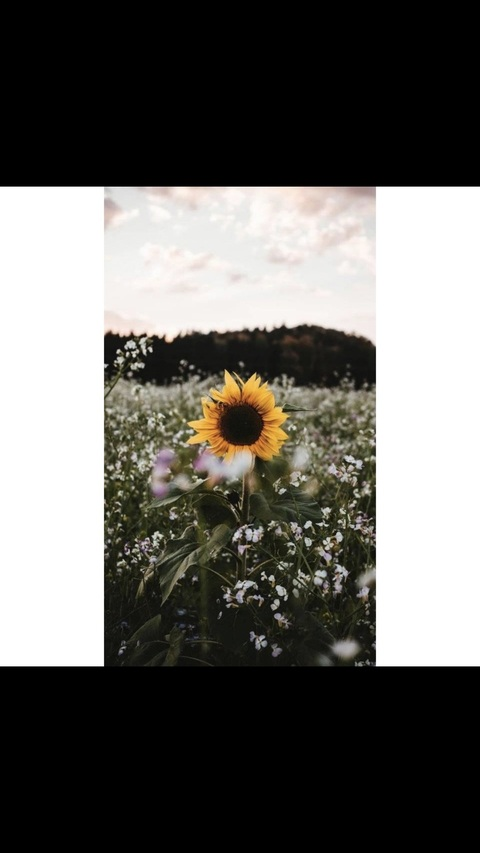 Onlyfans leaks bayleeadami - onlyofleaks.com