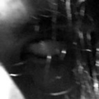 Free access to cl0wn Leak OnlyFans 

 profile picture