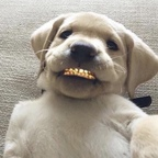 Download couldhavebeentheone OnlyFans videos and photos for free 

 profile picture