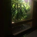 cowbells OnlyFans Leaked 

 profile picture