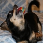 dannika OnlyFans Leaked 

 profile picture