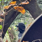 Onlyfans leaked et-tokes 

 profile picture