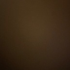 f0xxxybrown OnlyFans Leak 

 profile picture