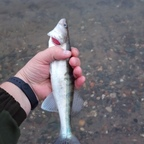 Onlyfans leaks fishingman92 

 profile picture