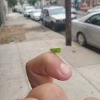 flaccid_butterfly OnlyFans Leaks 

 profile picture