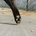 Onlyfans leaks goldroyer 

 profile picture