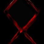 highonhorror (HighOnHorror) free OnlyFans content 

 profile picture