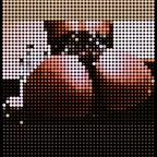 Onlyfans leaks honeycoatedchocolate 

 profile picture