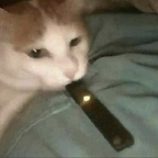 HopexForxNothingx (hopexforxnothingx) Leaks OnlyFans 

 profile picture