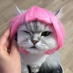 𝓛𝓸𝓮  𝓵𝓲́𝓪 (imqueenlia) Leaked OnlyFans 

 profile picture