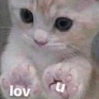 jaeexxxposed OnlyFans Leaked Photos and Videos 

 profile picture