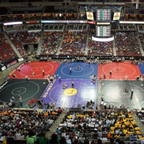 Free access to justinwellik Leaked OnlyFans 

 profile picture