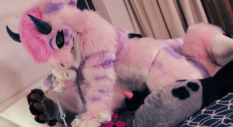 Header of kinkypinkkitty