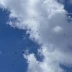 lalelili OnlyFans Leaked Photos and Videos 

 profile picture