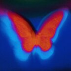 Onlyfans leaked leovenus 

 profile picture