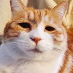 madsen OnlyFans Leaked 

 profile picture