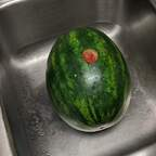 melonfrm (Flip) free OnlyFans Leaked Content 

 profile picture