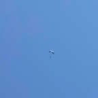 Onlyfans leaks miranda_lynn 

 profile picture