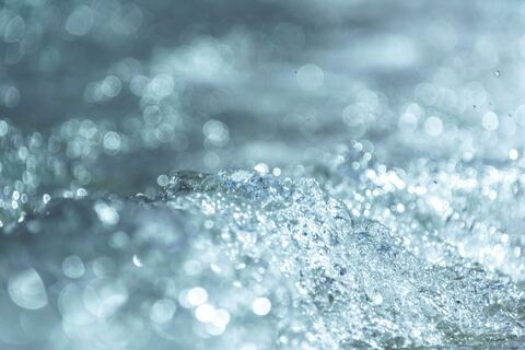 Header of missdollyface