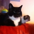 missyk (Kerry 35) free OnlyFans Leaked Videos and Pictures 

 profile picture