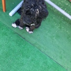 Onlyfans leaked molly_21 

 profile picture