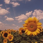 Onlyfans leaks muayly 

 profile picture