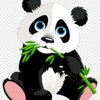Onlyfans leaks nesfit 

 profile picture
