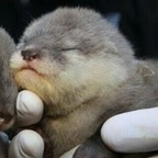 Download nntntyntyn OnlyFans videos and photos for free 

 profile picture