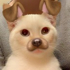 noonz OnlyFans Leaks 

 profile picture