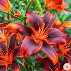 Download pinkhunny OnlyFans videos and photos for free 

 profile picture