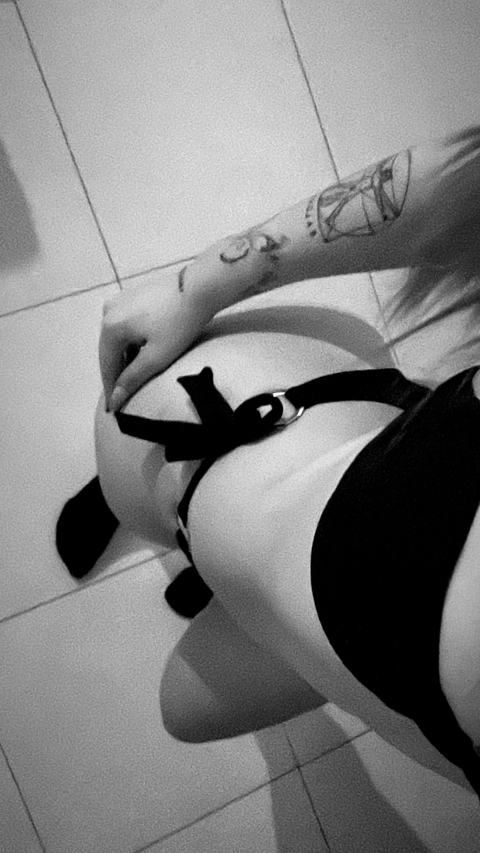 Header of pixie.kitty