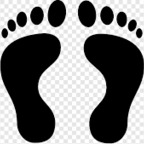 playfootsiewme OnlyFans Leak 

 profile picture